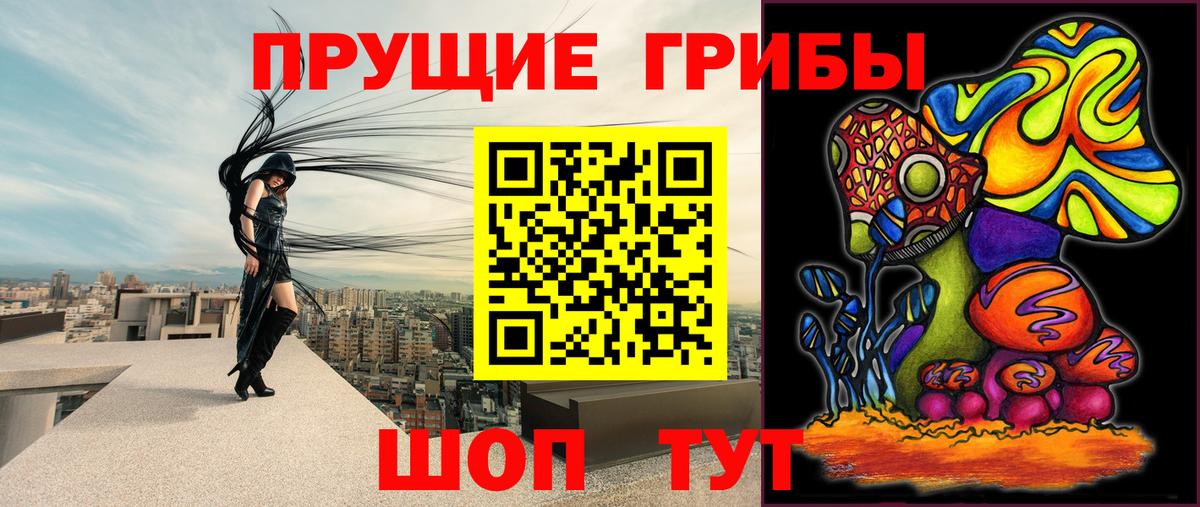 Галлюциногенные грибы Psilocybe  где продают наркотики  Вход с VPN  Гуково  Псилоцибиновые грибы мухоморы 