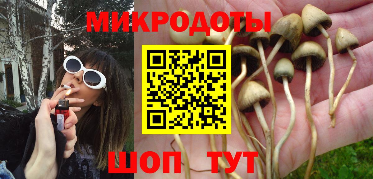 Псилоцибиновые грибы MAGIC MUSHROOMS Гуково